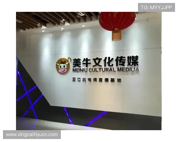 风驰直播网站的成功案例，看看他们是如何吸引百万观众的